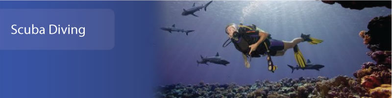 buceo